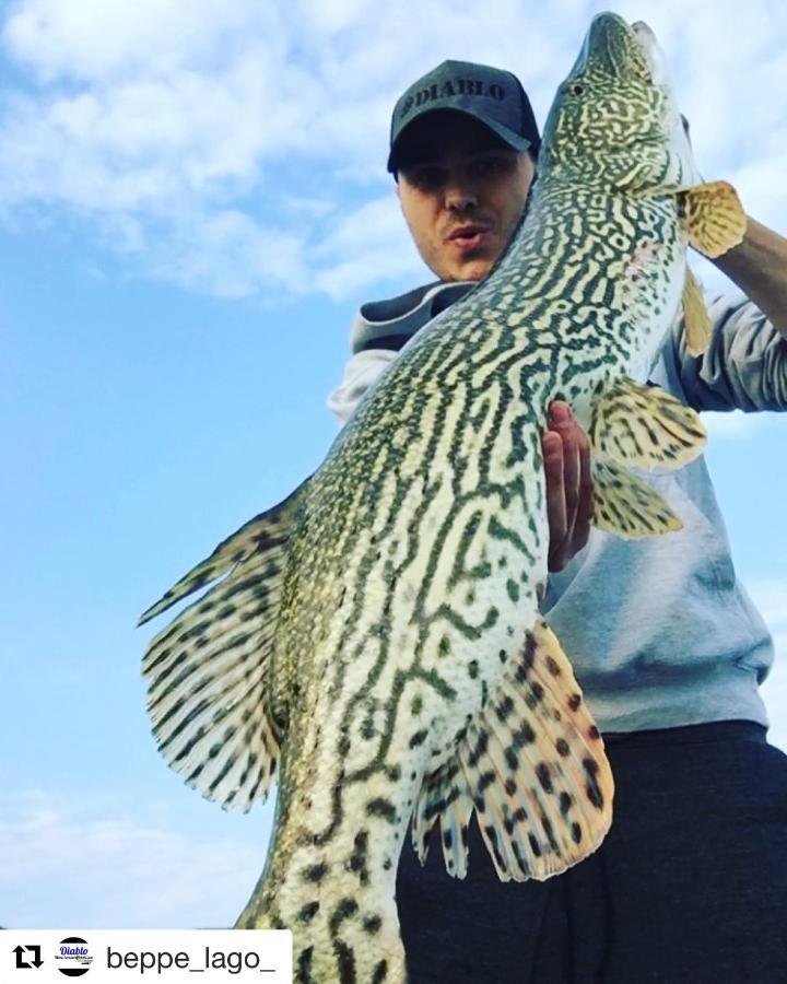 In Riva Al Lago Di Iseo Residenza Loft Marone Bagian luar foto