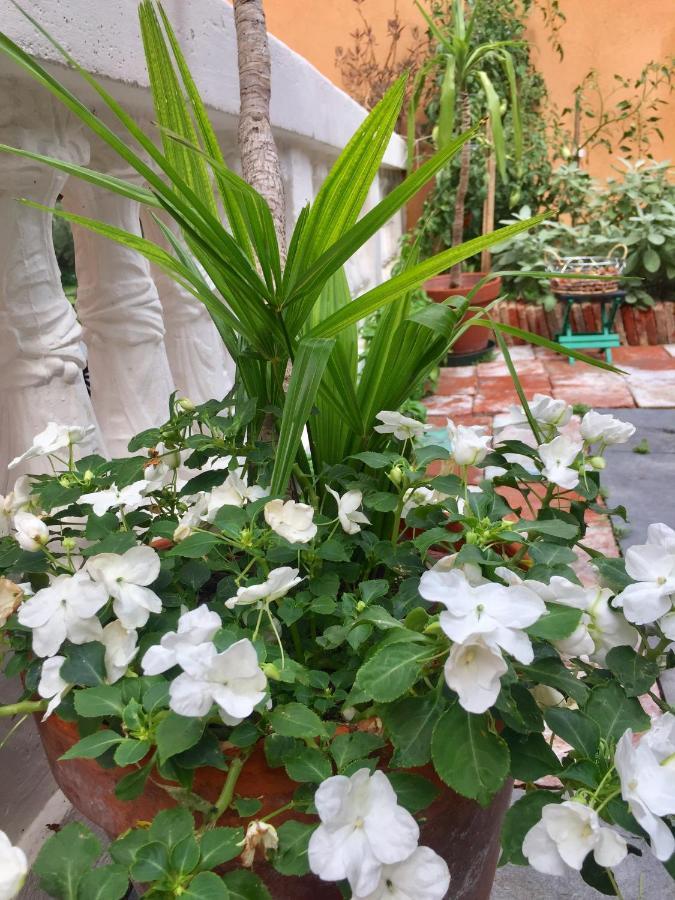 In Riva Al Lago Di Iseo Residenza Loft Marone Bagian luar foto