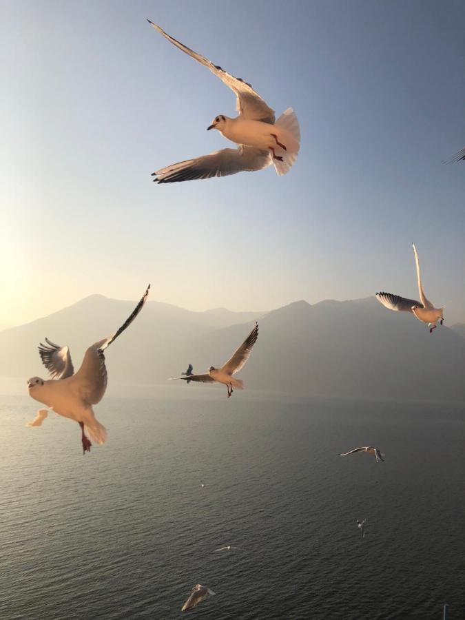 Residenza Di Prestigio In Riva Al Lago Marone Loft Bagian luar foto